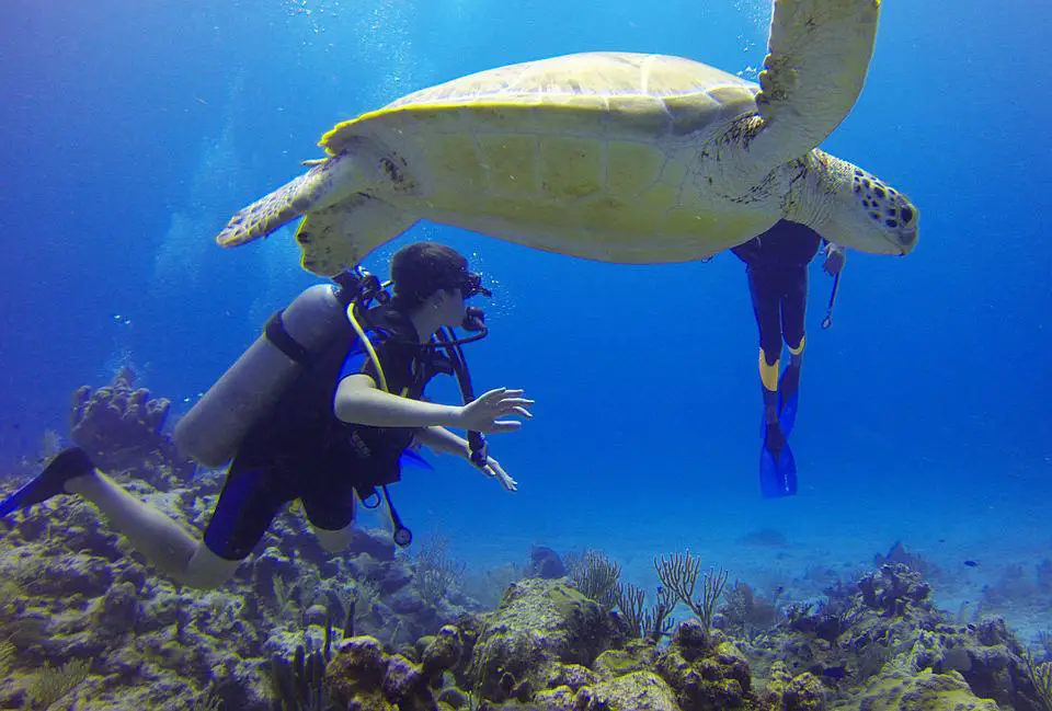 Scuba diving excursion